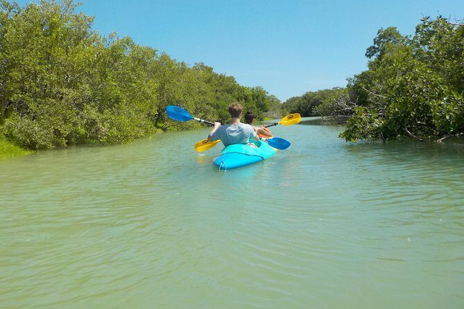 Kayaking Tour Through the Mangroves in Isla Holbox - A detailed look at this Isla Holbox kayaking experience