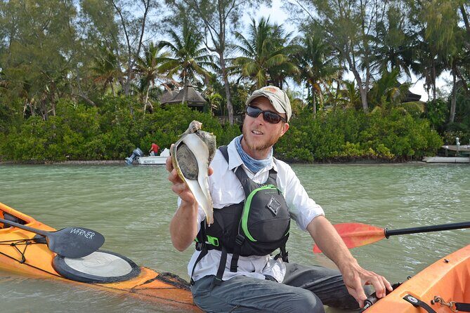 Kayaking with coastal wildlife in Sarasota Bay - Who Will Love This Experience?