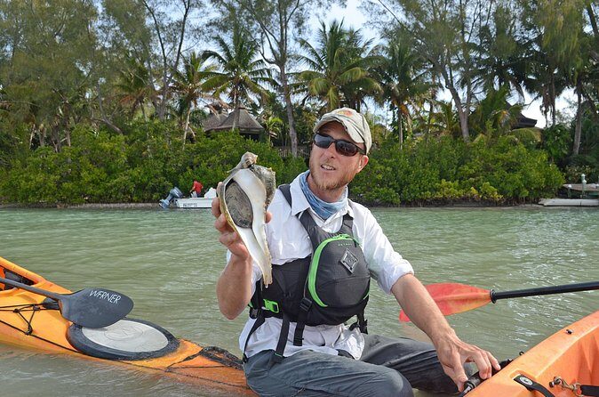 Kayaking with coastal wildlife in Sarasota Bay - Final Thoughts