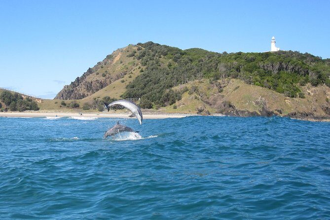 Kayaking with Dolphins in Byron Bay Guided Tour - The Itinerary in Detail