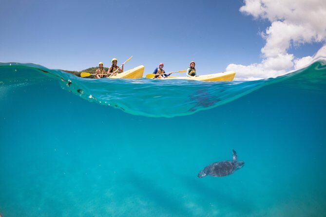 Kayaking with Dolphins in Byron Bay Guided Tour - Practical Tips for Future Participants