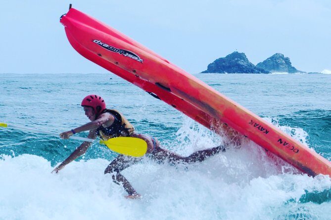 Kayaking with Dolphins in Byron Bay Guided Tour - Who Will Love This Tour?