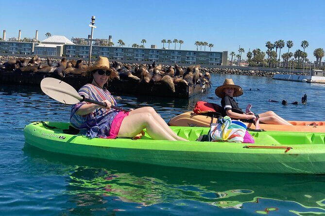 Kayaking with Sea Lions in a Calm Beautiful Harbor - An Introduction to This Water-Based Adventure