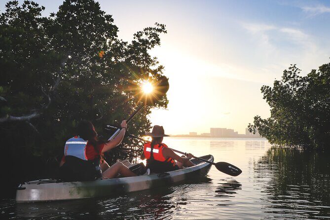 Kayaks at the Mangroves Lagoon Ecosystem from Cancun - Key Points