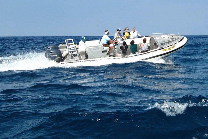 Kealakekua Bay Captain Cook Snorkel Exclusive - Practical Details and Tips