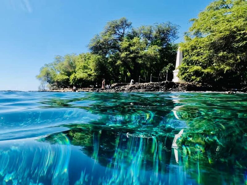 Kealakekua Bay Dolphin Watching, Snorkeling Boat Tour, BBQ - Who Would Love This Tour?