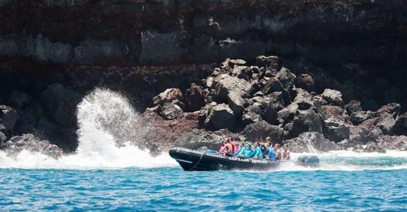 Kealakekua Bay: Snorkel and Coastal Adventure with Lunch - Why This Tour Stands Out
