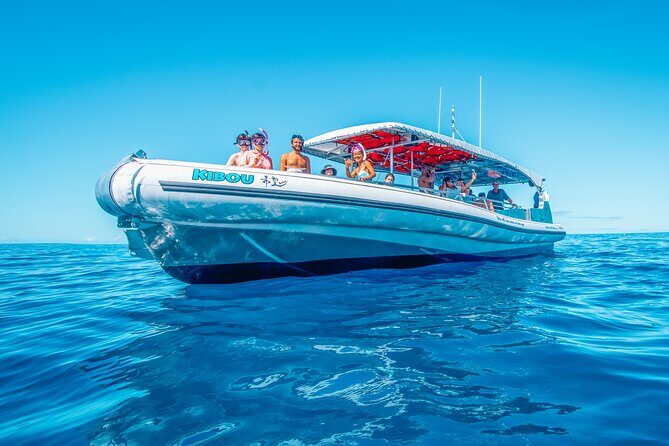Kealakekua Bay Snorkel & Dolphin Watch In Kona - FAQ