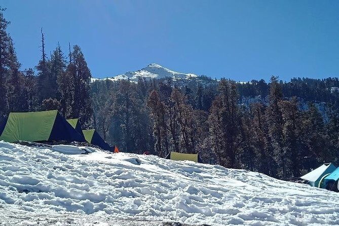 Kedarkantha Trek (Dehradun to Dehradun) - What Could Be Better?