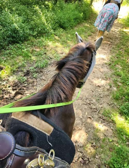 Keeneland: Horseback Riding Experience with Guide - The Itinerary: A Well-Curated Kentucky Horse Country Journey