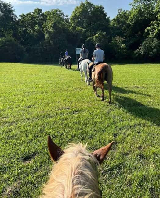 Keeneland: Horseback Riding Experience with Guide - The Practicalities: Planning Your Day