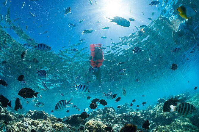 Keishi Tour Half Day Shared Excursion - FAQs