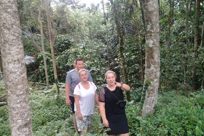 Keliki Village Tour And Rice Field Walk Including Lunch Or Dinner - A Deep Dive into the Keliki Village Tour