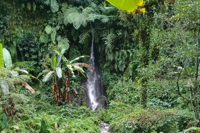 Keliki Village Tour And Rice Field Walk Including Lunch Or Dinner - What the Reviews Say