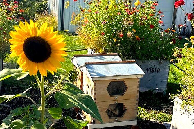 Kelowna E-Bike Bee Tour, Tastings, Organic Lunch & Audio Guide - Analyzing the Value