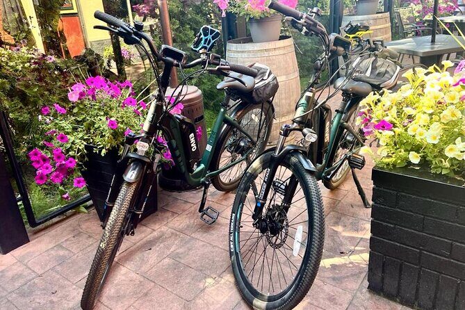 Kelowna E-Bike Bee Tour, Tastings, Organic Lunch & Audio Guide - The Sum Up