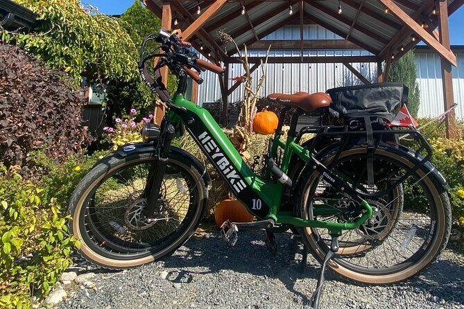 Kelowna E-Bike Bee Tour, Tastings, Organic Lunch & Audio Guide - FAQ