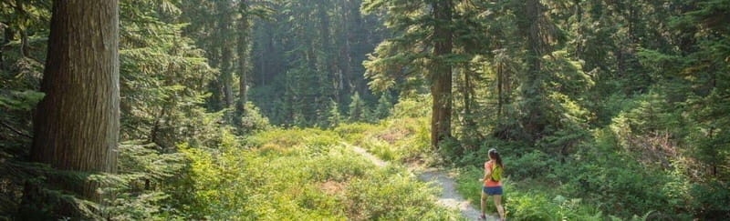 Kelowna: Guided Hiking Tour - What You Can Expect from the Kelowna Guided Hiking Tour