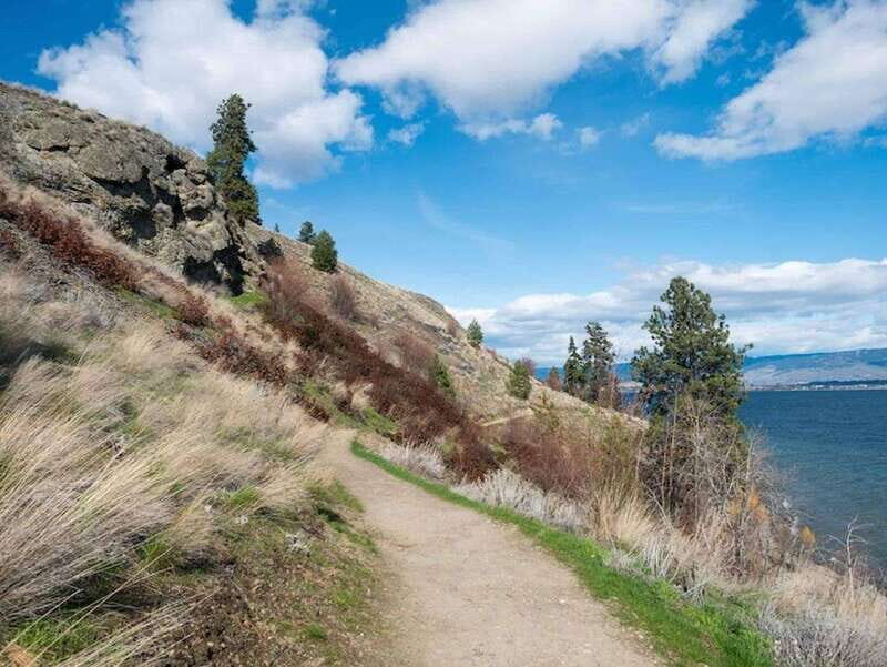 Kelowna: Guided Hiking Tour - Who Should Consider This Tour?