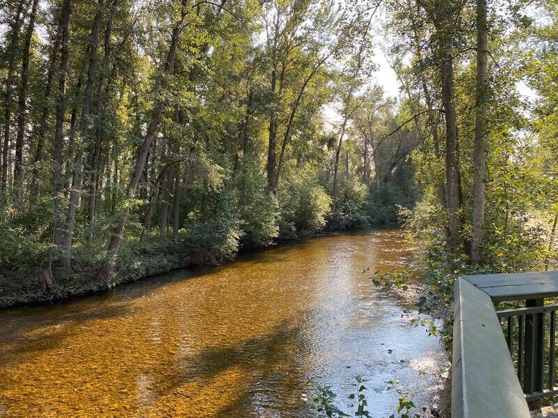 Kelowna: Mission Creek Salmon Run Audio Tour by E-Bike - What to Bring and What to Avoid