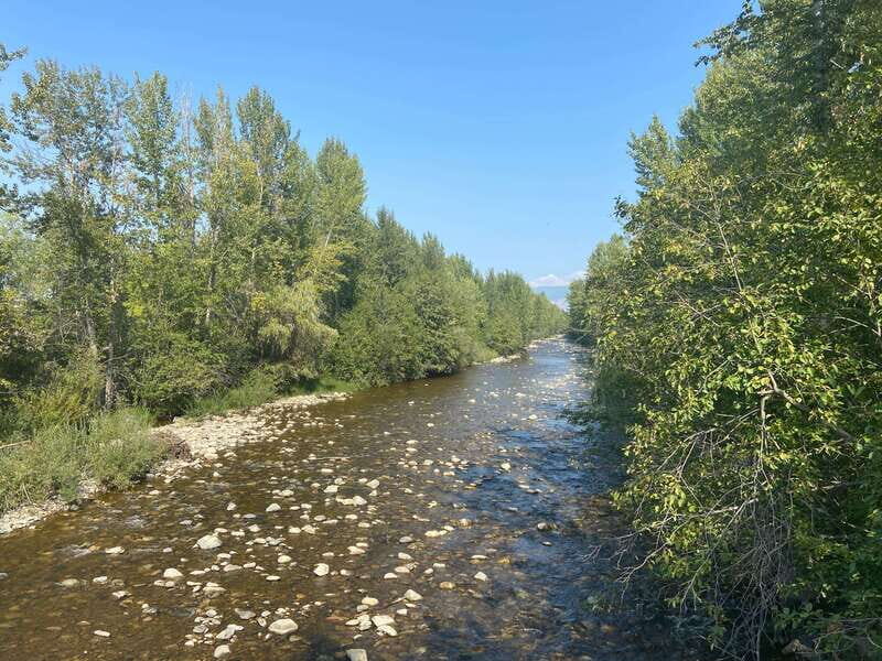 Kelowna: Mission Creek Salmon Run Audio Tour by E-Bike - Final Thoughts