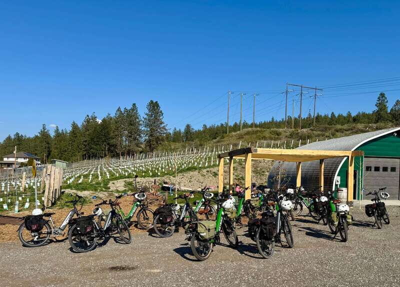 Kelowna: Wine Tasting by E-bike, Smartphone Guide & Lunch - What to Expect in Terms of Comfort and Difficulty