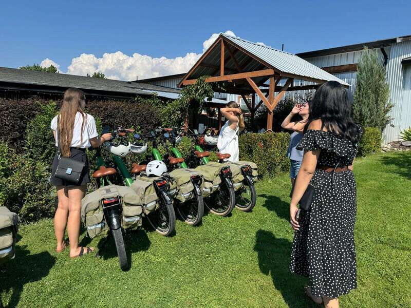 Kelowna: Wine Tasting by E-bike, Smartphone Guide & Lunch - The Sum Up