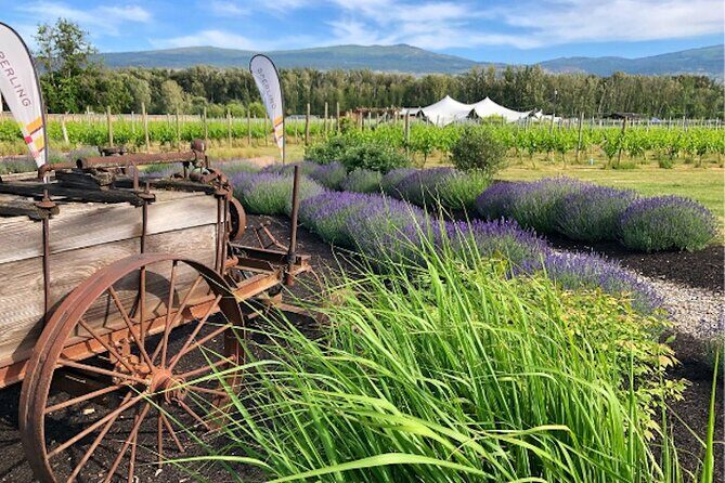 Kelowna Wine Tour by E-bike, Okanagan Valley Views and Lunch - Discover Kelowna’s E-Bike Wine Tour: A Practical Guide to a Memorable Experience