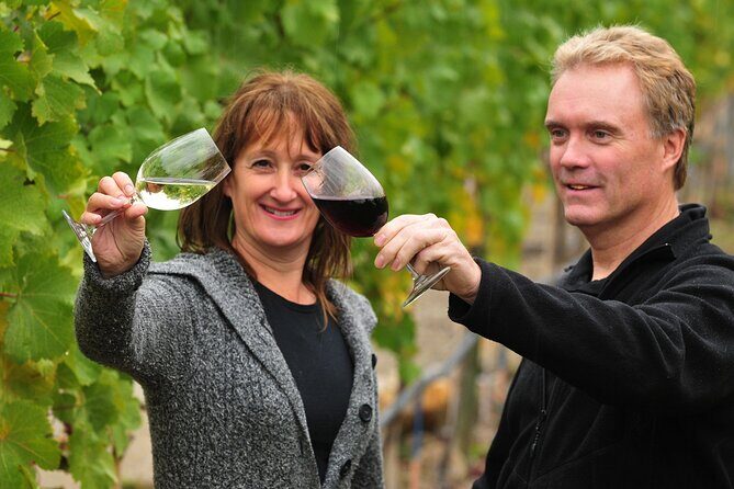 Kelowna Wine Tour by E-bike, Okanagan Valley Views and Lunch - Key Points