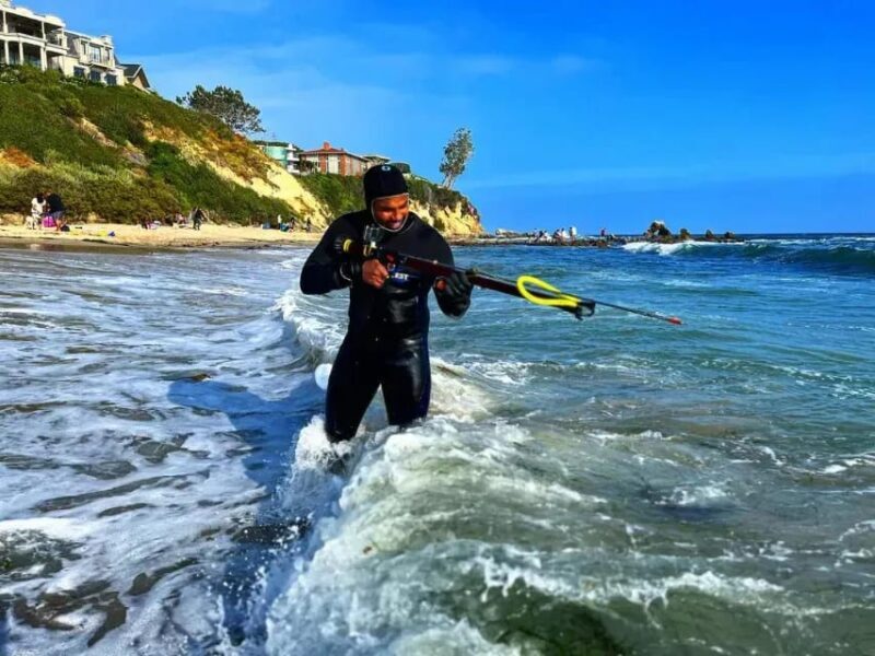 Kelp Forest Spearfishing Adventure - FAQ