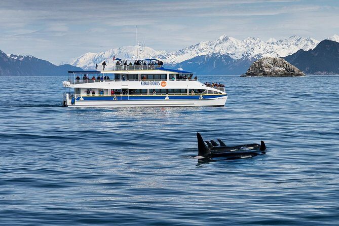 Kenai Fjords National Park Glacier & Wildlife Cruise - FAQ