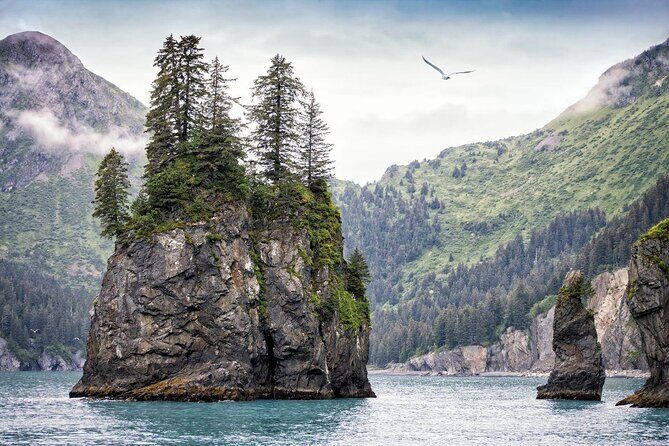 Kenai Fjords National Park Glacier & Wildlife Tour from Seward - Key Points