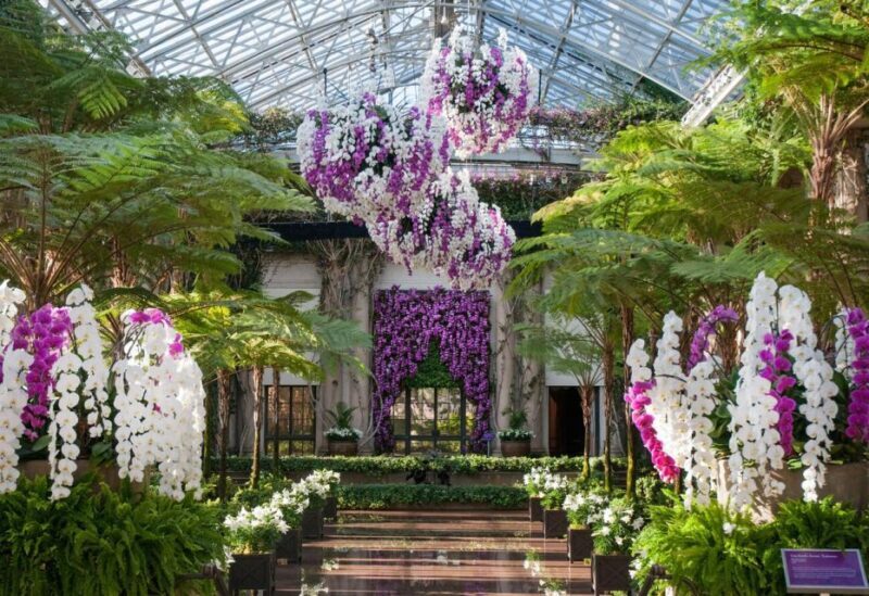 Kennett Square: Longwood Gardens Admission Ticket - What Visitors Say
