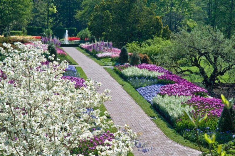 Kennett Square: Longwood Gardens Admission Ticket - Who Should Visit?