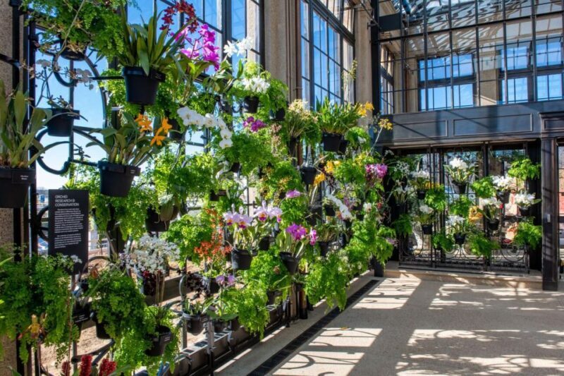 Kennett Square: Longwood Gardens Admission Ticket - Final Thoughts