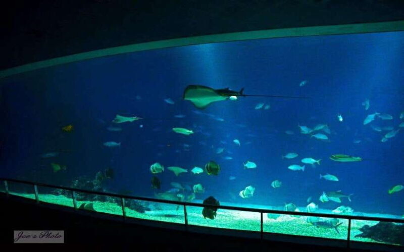 Kenting: National Museum of Marine Biology & Aquarium - Key Points