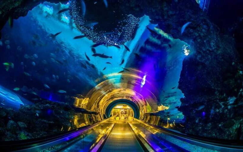 Kenting: National Museum of Marine Biology & Aquarium - An In-Depth Look at the Museum Experience