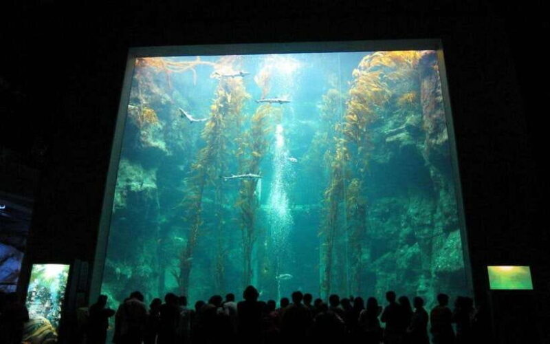 Kenting: National Museum of Marine Biology & Aquarium - Frequently Asked Questions