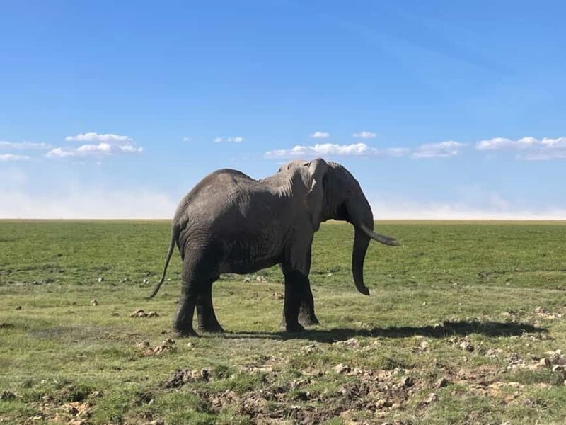 Kenya: 5-Day Maasai Mara & Lake Nakuru Camping Safari - Who Would Love This Safari?