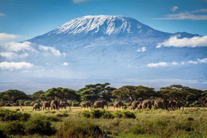 Kenya: 6-Day Safari with Accommodation and Transfers - An In-Depth Look at the 6-Day Kenya Safari
