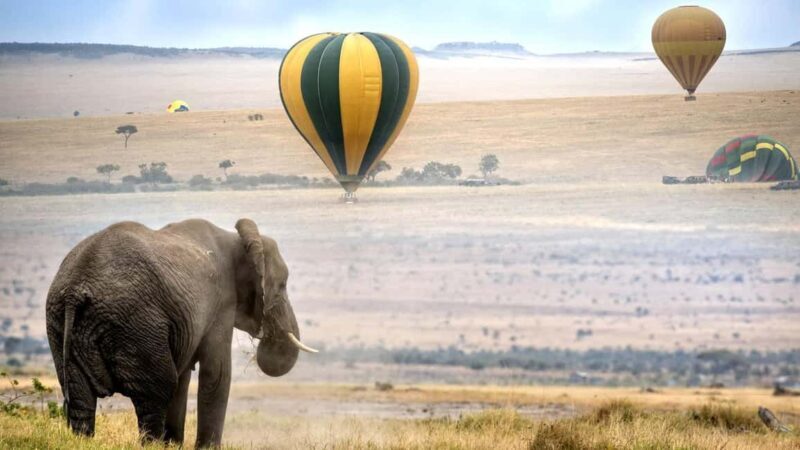 Kenya: 6-Day Safari with Accommodation and Transfers - Who Should Consider This Safari?