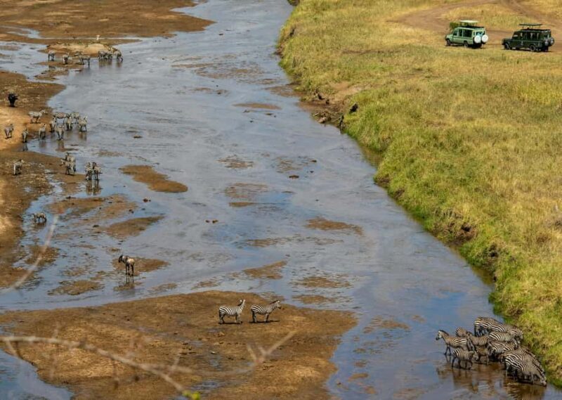 Kenya: 7-Day Masai Mara, Lake Nakuru, and Samburu Safari - Key Points
