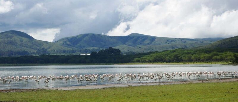 Kenya: 7-Day Masai Mara, Lake Nakuru, and Samburu Safari - Transportation and Logistics