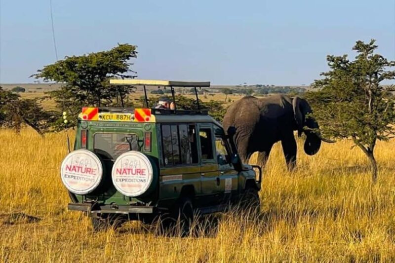 Kenya: 9-Day Soft Trekking Safari - Introduction