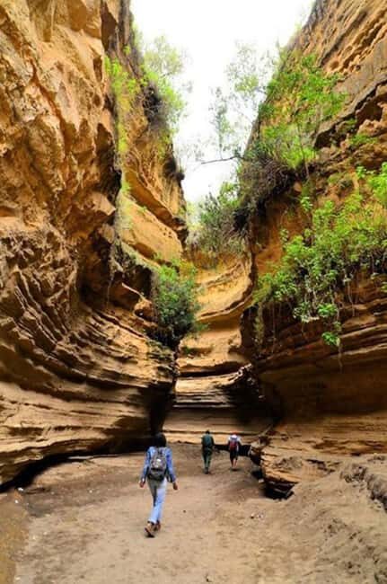 Kenya: 9-Day Soft Trekking Safari - What to Expect from the Experience