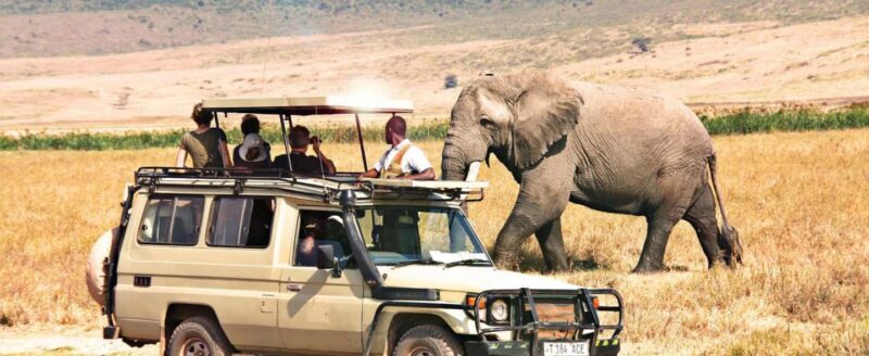 Kenya and Tanzania: 10-Day Classic Safari with Accommodation - Key Points