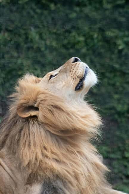 Kenya and Tanzania: 10-Day Safari Adventure - Practical Tips for Travelers
