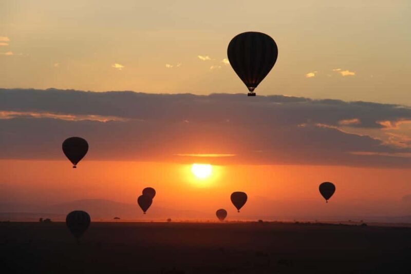 Kenya: Private Safari Guide and 4x4 Vehicle Rental - FAQ