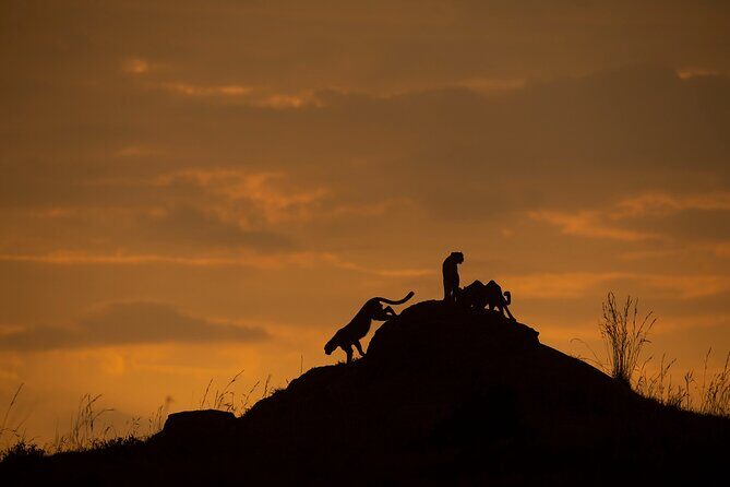 Kenya Safari: Amboseli, Lake Naivasha & Masai Mara - FAQ