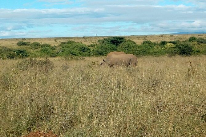 Kenya safari - The Itinerary in Detail